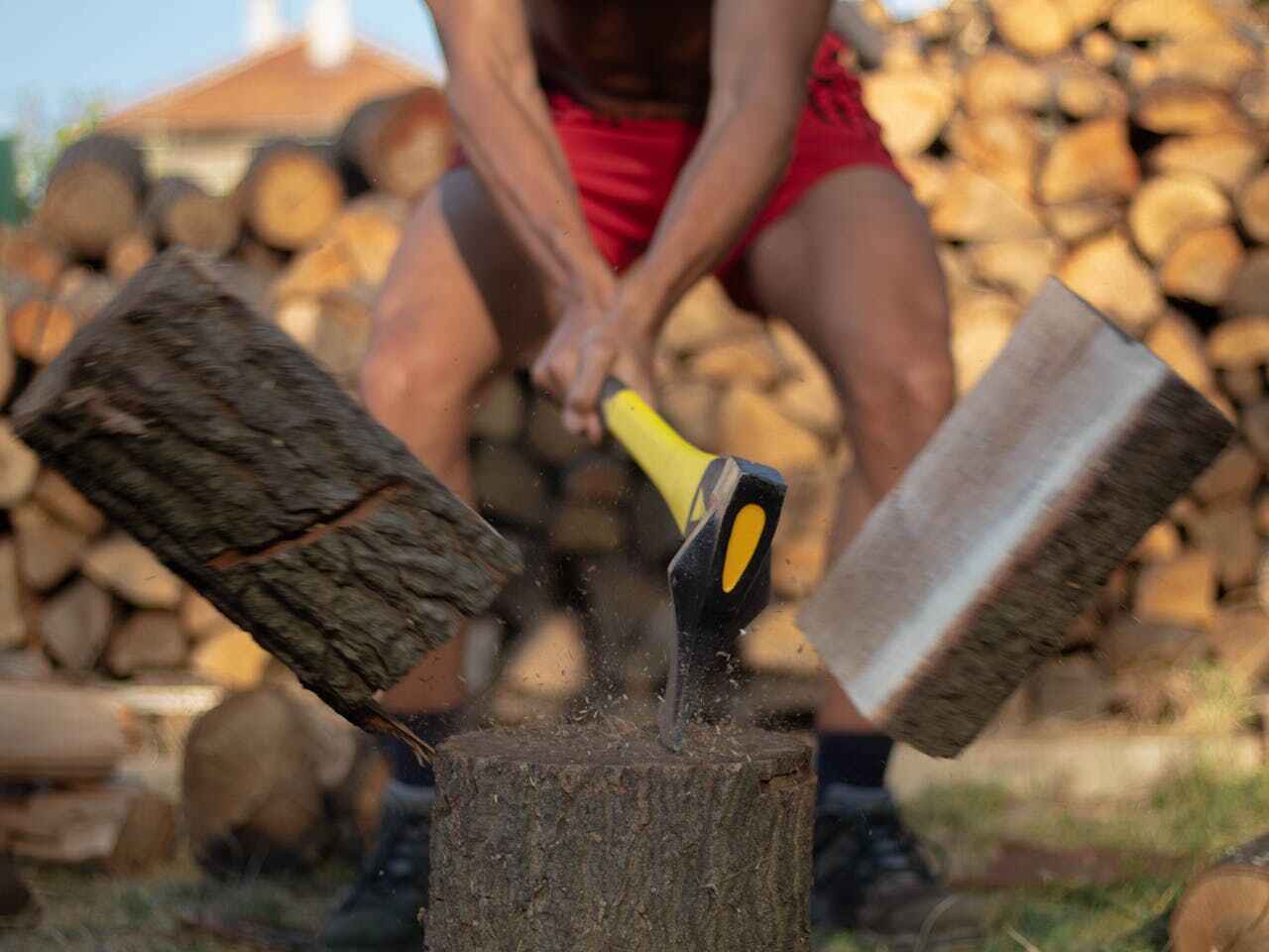 The Steps Involved in Our Tree Care Process in East Griffin, GA